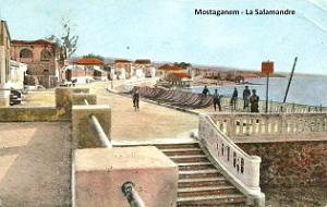 Mostaganem 528- La salamandre